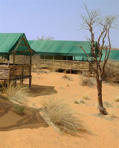 Suricate Tented Lodge Intu Afrika Kalahari Game Reserve Екстер'єр фото
