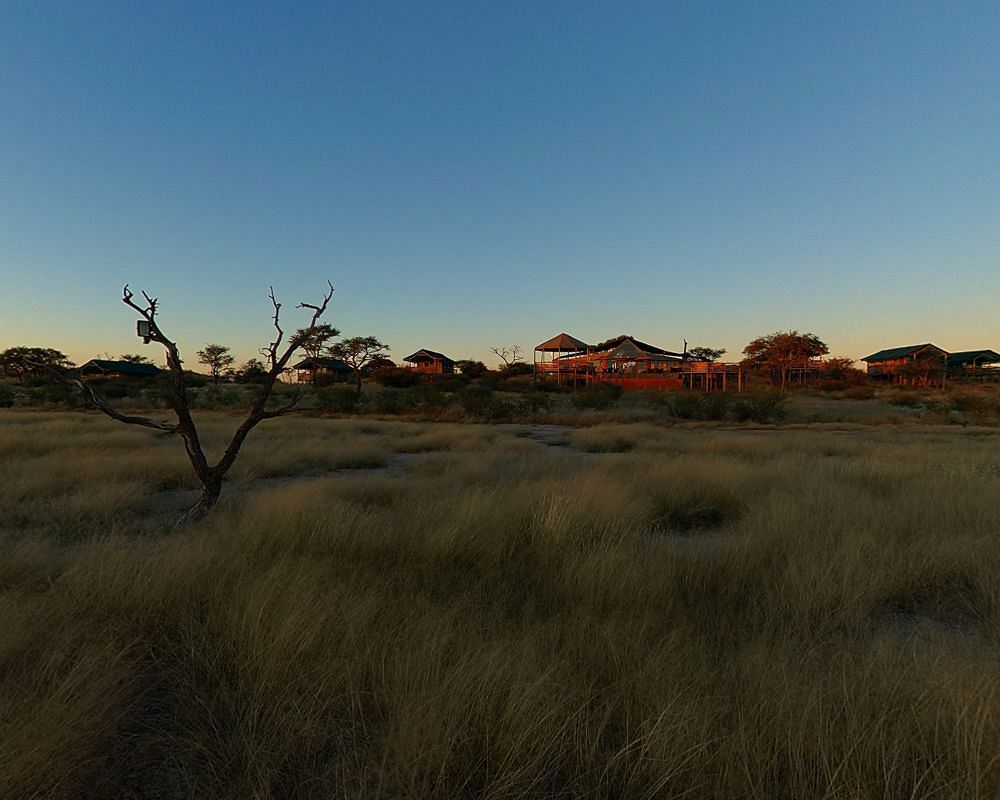 Suricate Tented Lodge Intu Afrika Kalahari Game Reserve Екстер'єр фото