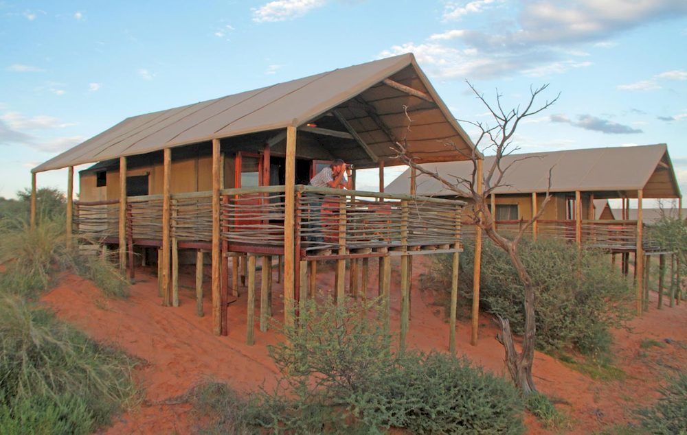 Suricate Tented Lodge Intu Afrika Kalahari Game Reserve Екстер'єр фото