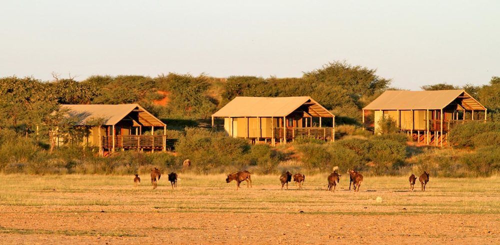 Suricate Tented Lodge Intu Afrika Kalahari Game Reserve Екстер'єр фото
