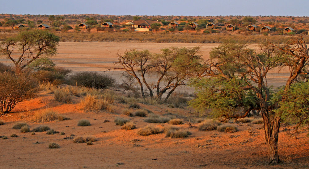 Suricate Tented Lodge Intu Afrika Kalahari Game Reserve Екстер'єр фото